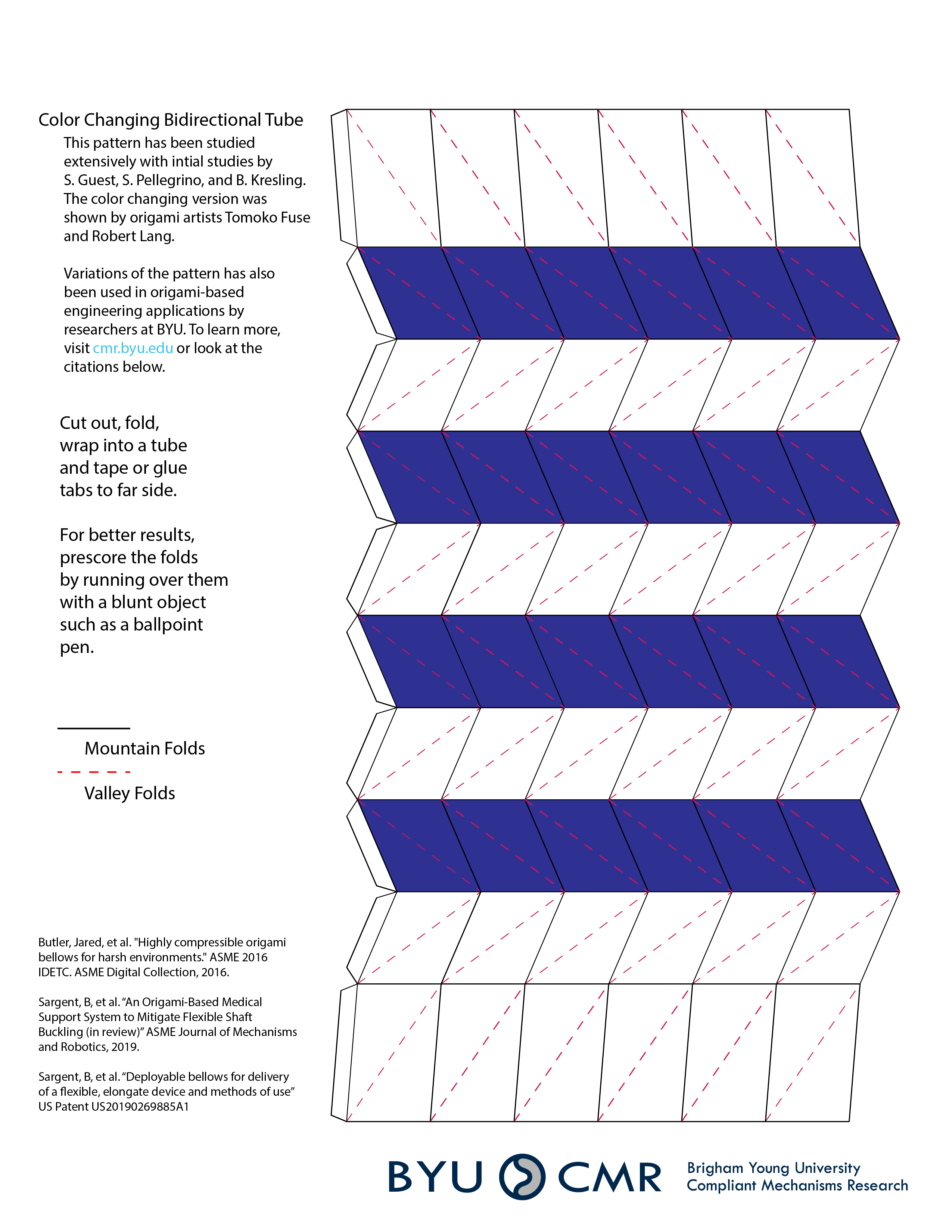 Color_Changing_Bidirectional_Tube-01.jpg