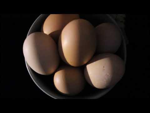 Commercial for eggs