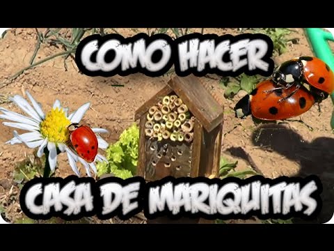 Como Hacer Una Casa De Mariquitas Gratis Para El Huerto || La Huertina De Toni