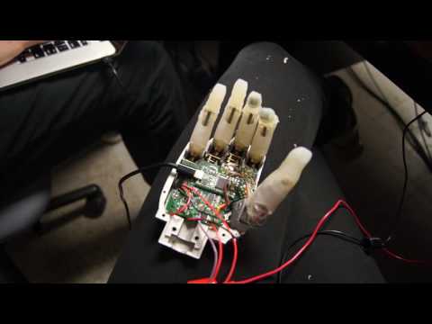 Compiant Prosthetic Hand: Grasps test