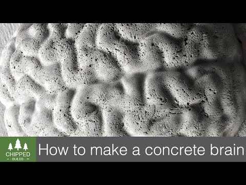 Concrete Brain || How-to