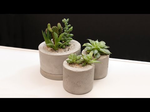 Concrete Mini Planters // Becky Stern