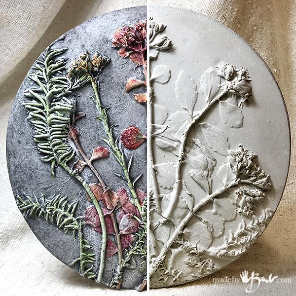 Concrete Relief-Cast Botanical Specimens.jpg