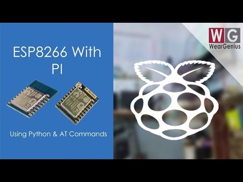 Connecting ESP8266 with Raspberry PI | AT Commands