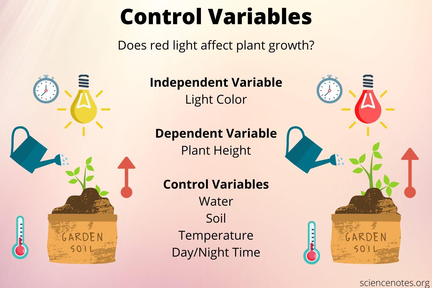 Control-Variables.jpg