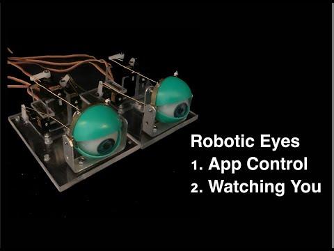 Controlling a Pair of Robotic Eyes