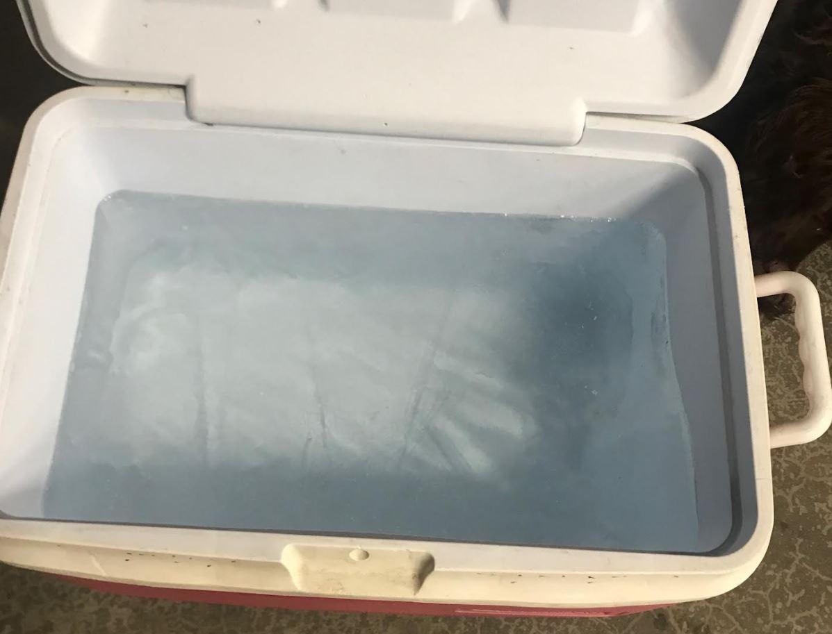 Cooler with ice.JPG