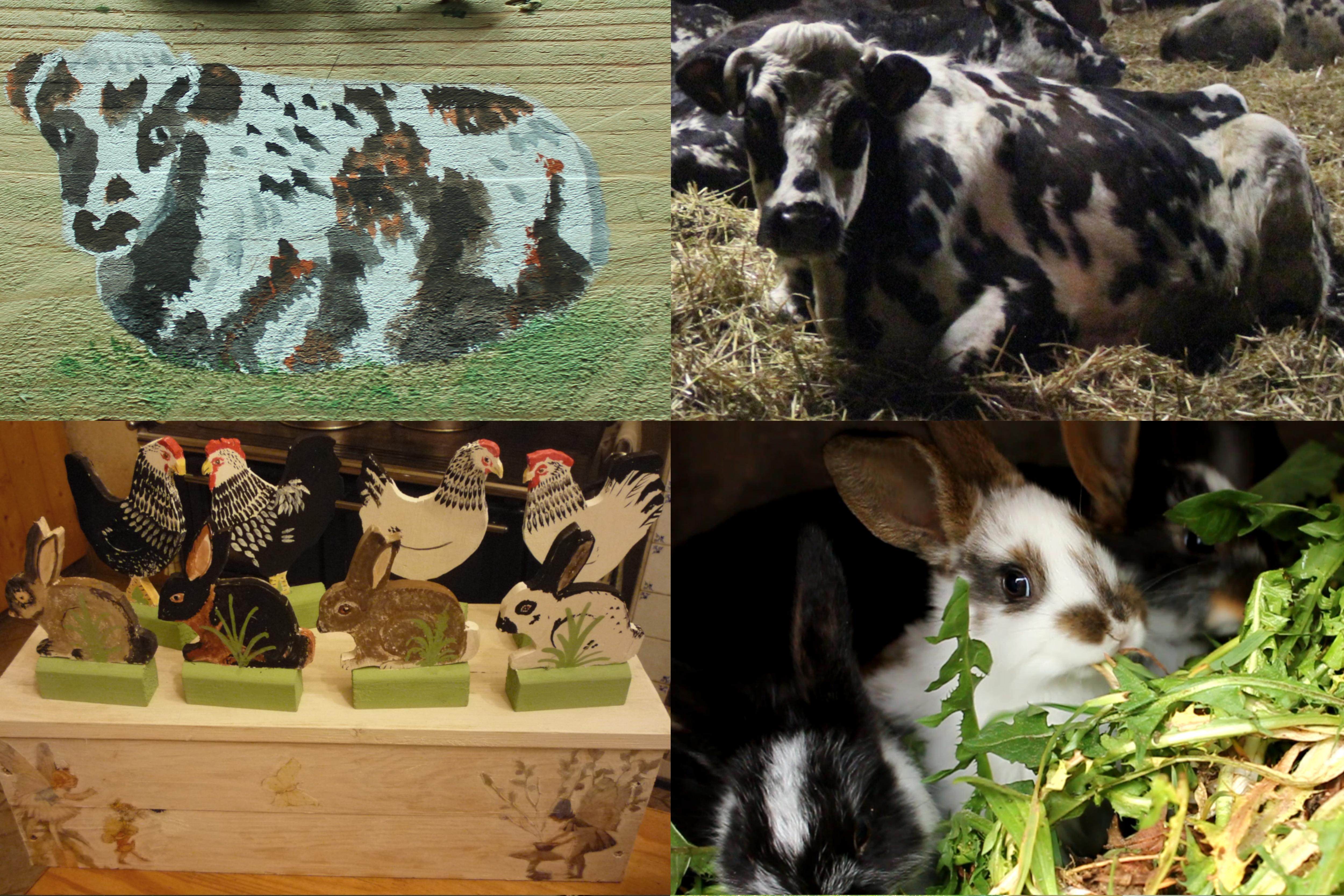 Cow inspiration.JPG