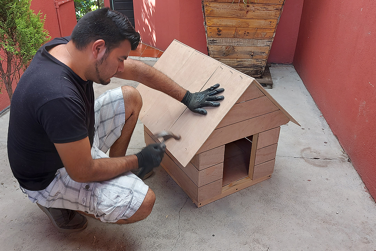 CraftyAmigo_Dog_house_04.png