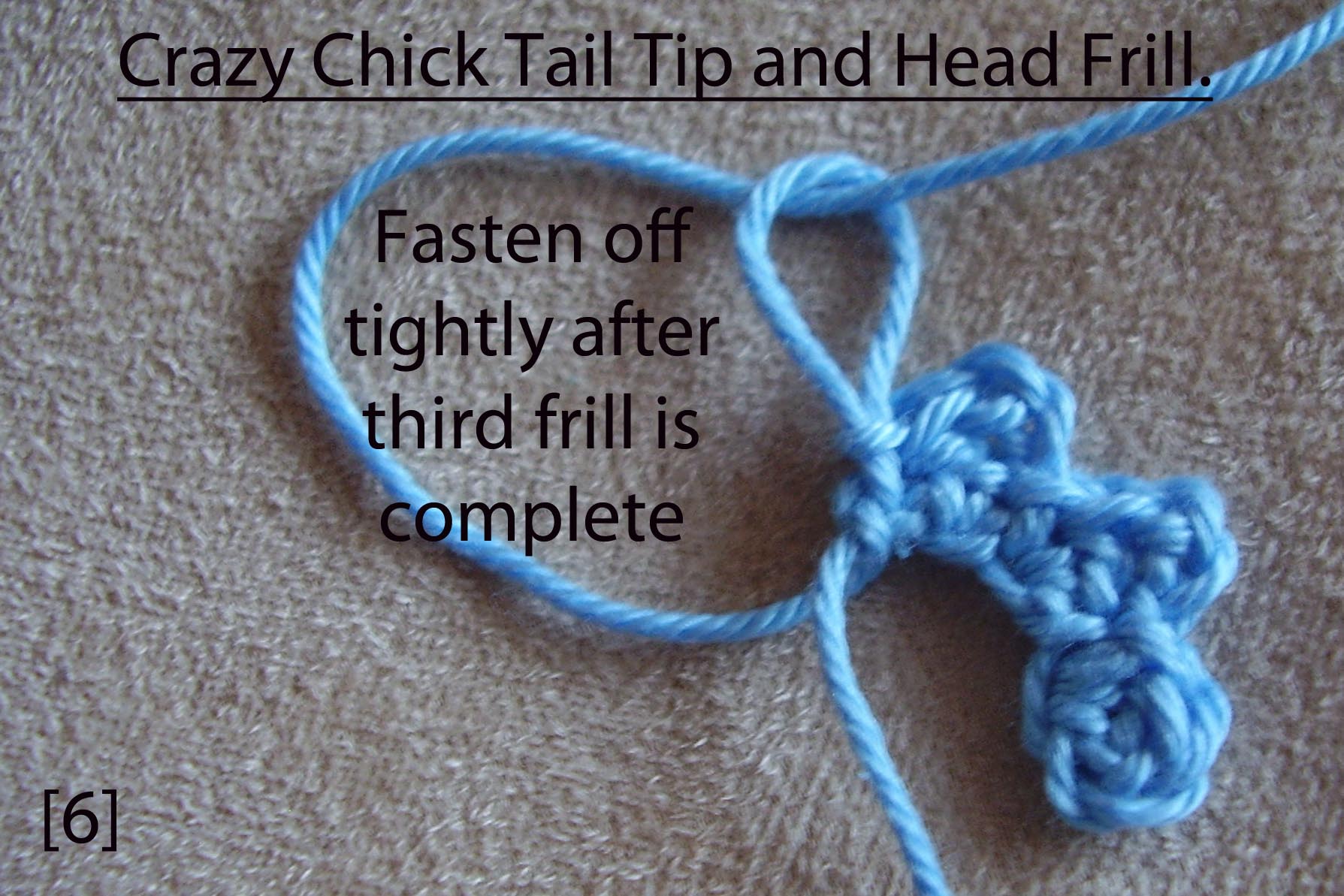 Crazy Chick tail  tip and head frill 6.jpg