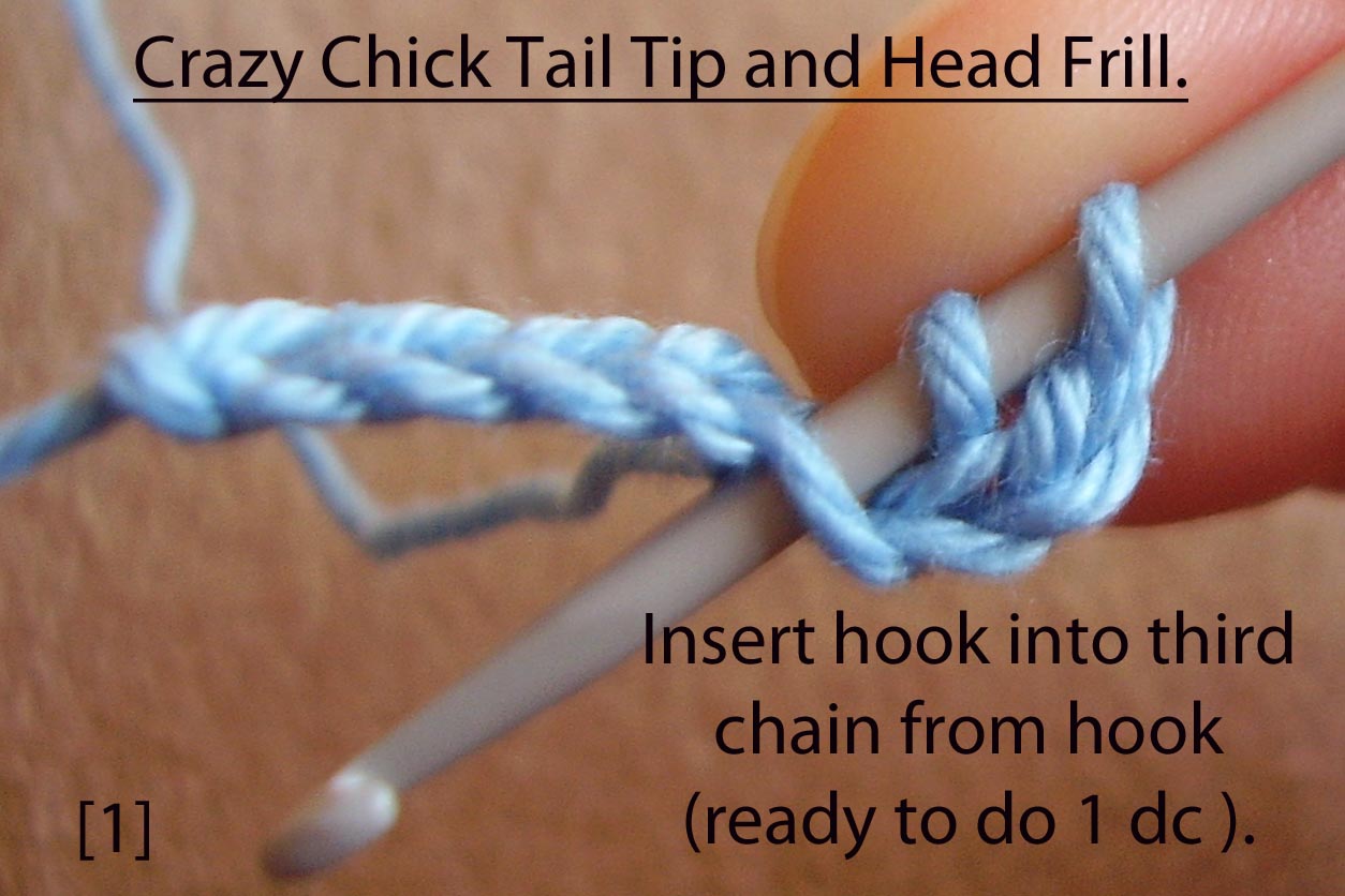 Crazy Chick tail tip and head frill 1.jpg