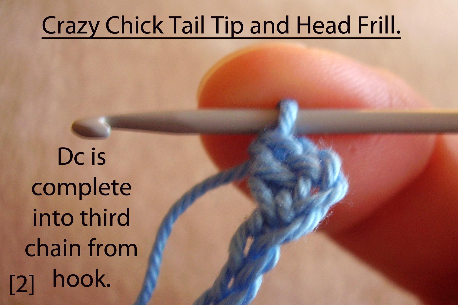 Crazy Chick tail tip and head frill 2.jpg