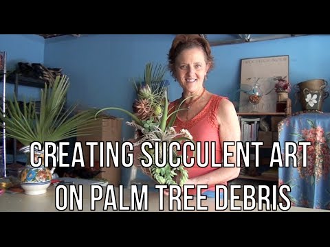 Creating Succulent Wall Art On Palm Debris