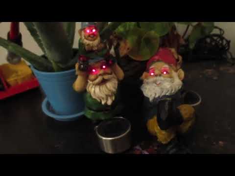 Creepy Garden Gnomes!