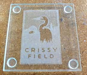 Crissy-Field.jpg