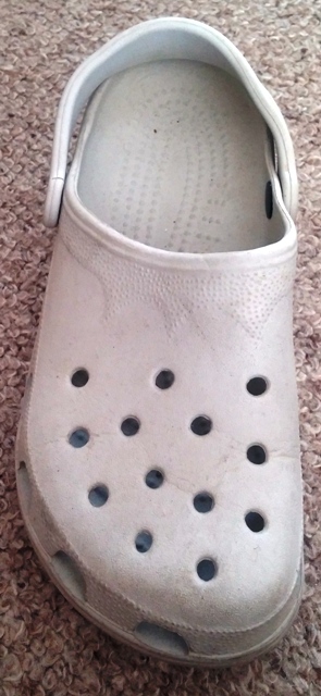 Croc1.jpg