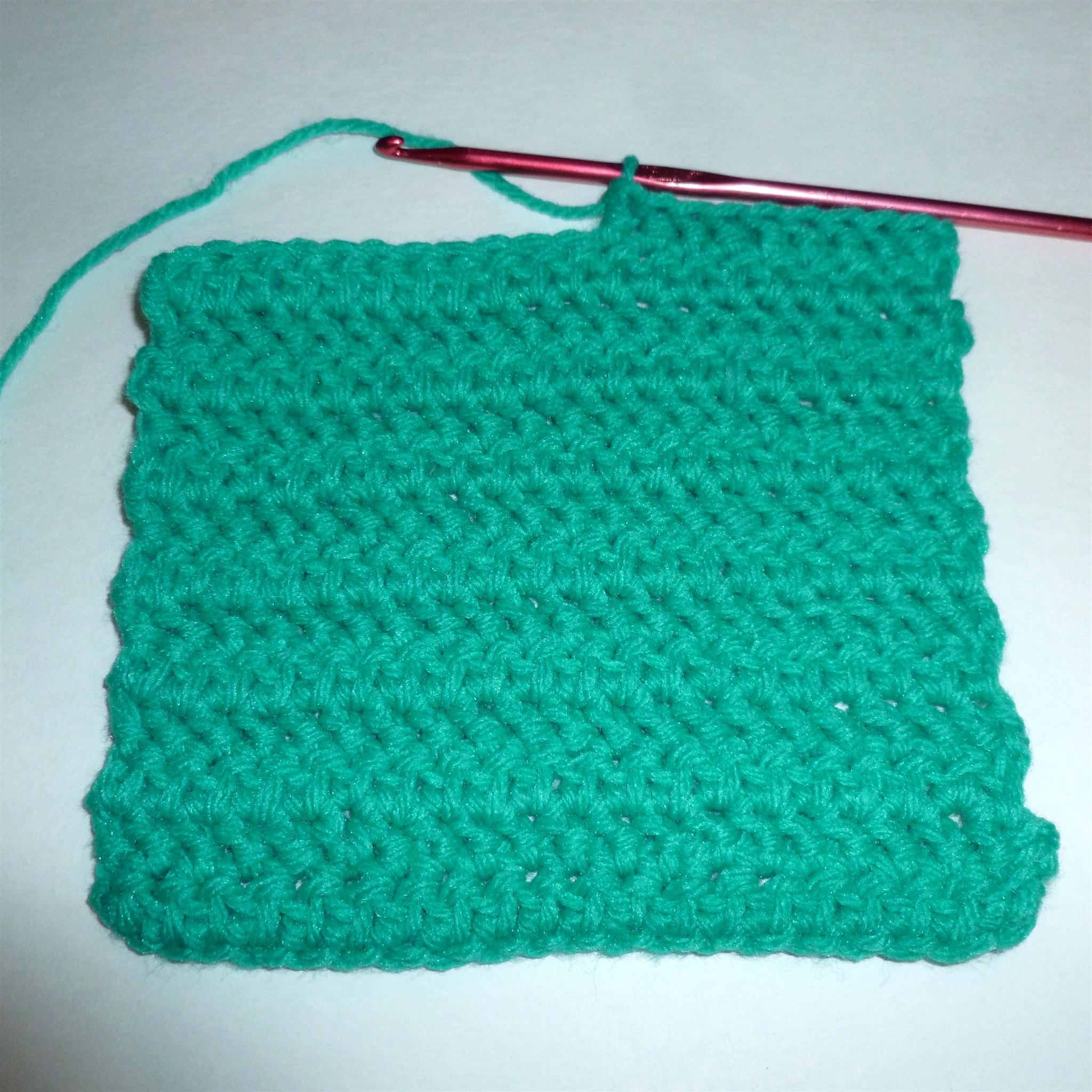 Crochet Pot Holder_0020.jpg