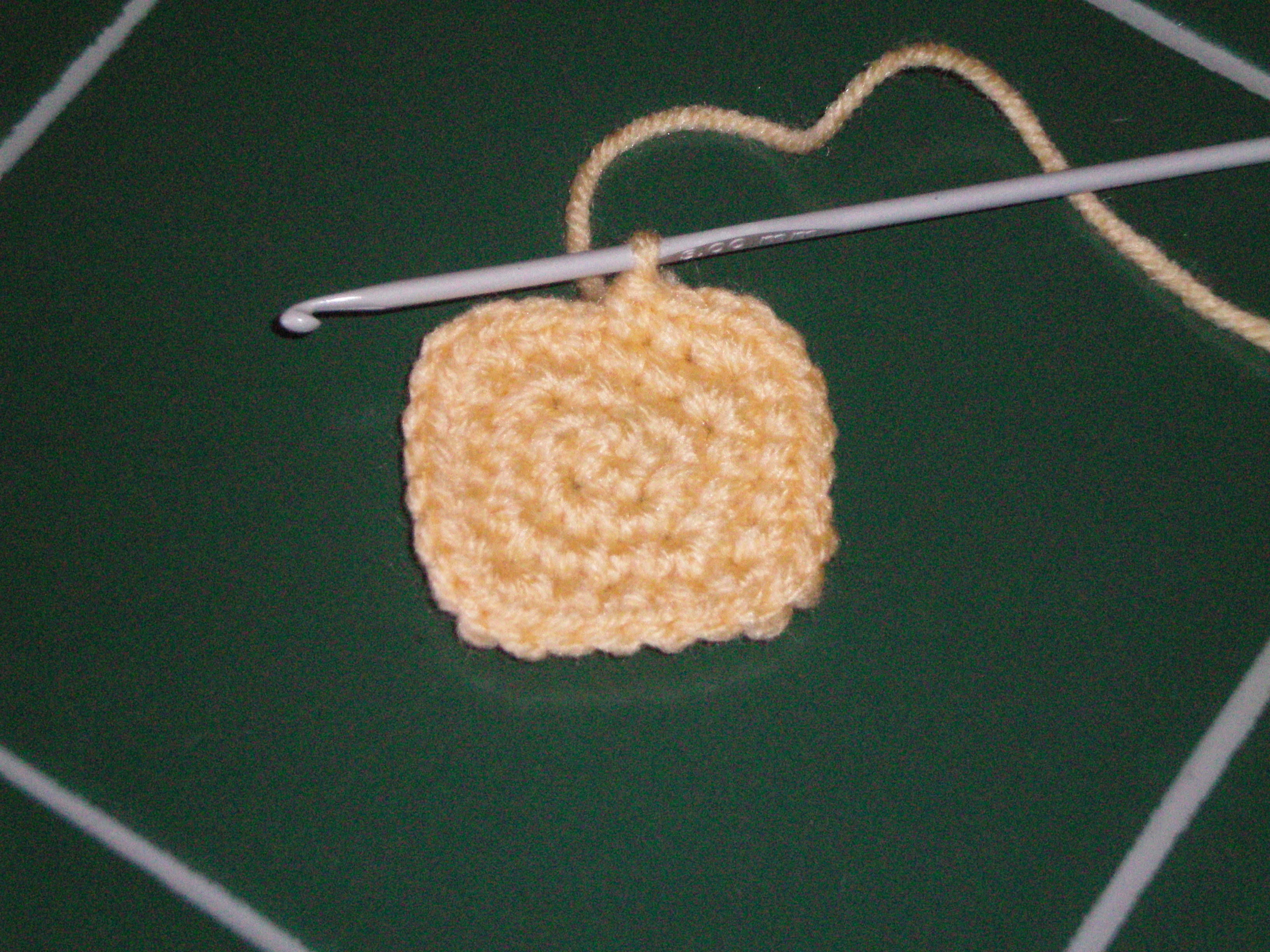 Crochet and Sage February 2010 024.JPG