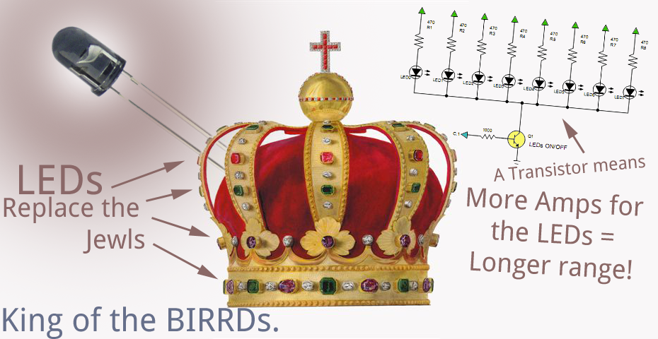 Crown_of_BIRRD.png