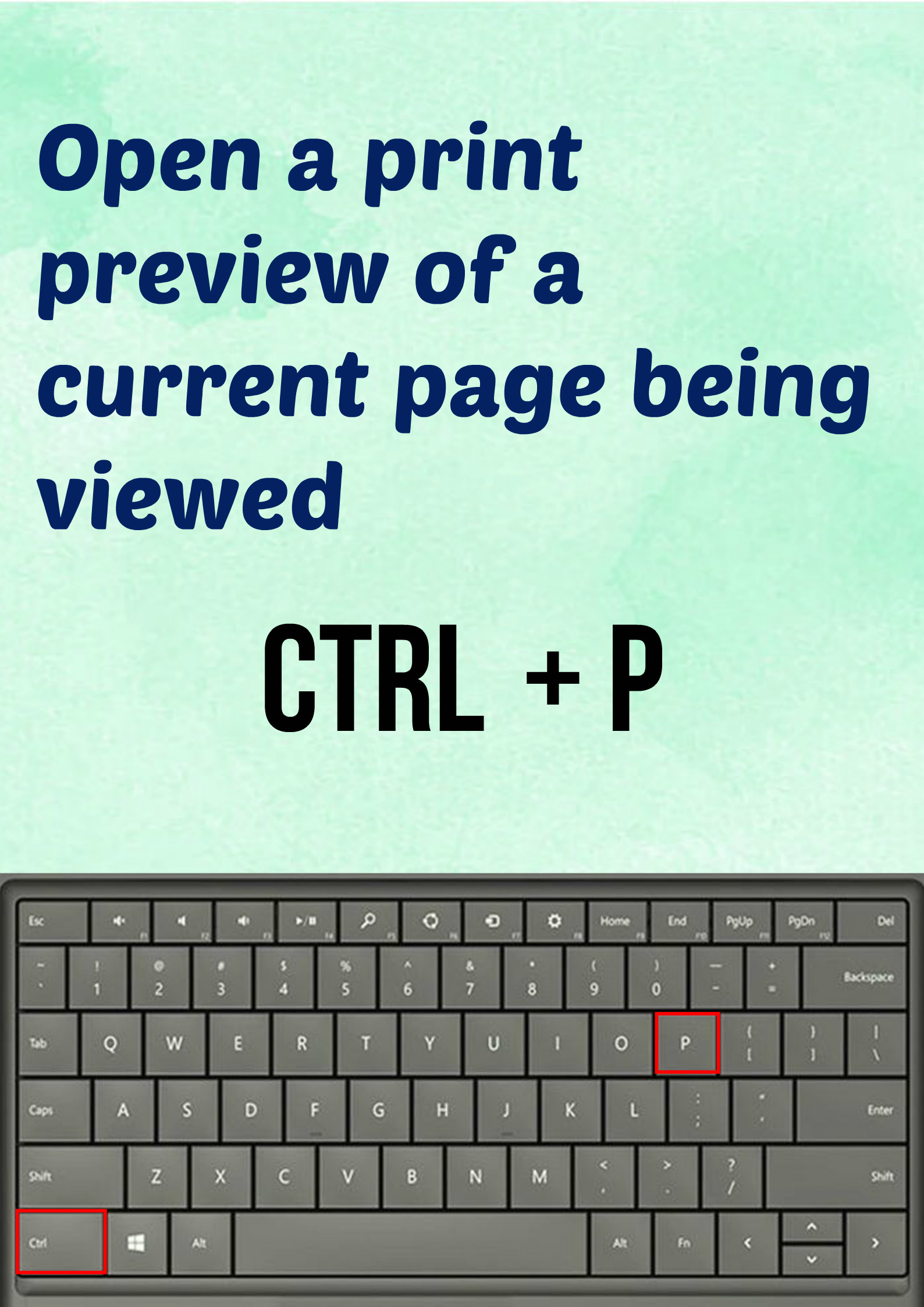 Ctrl P.jpg