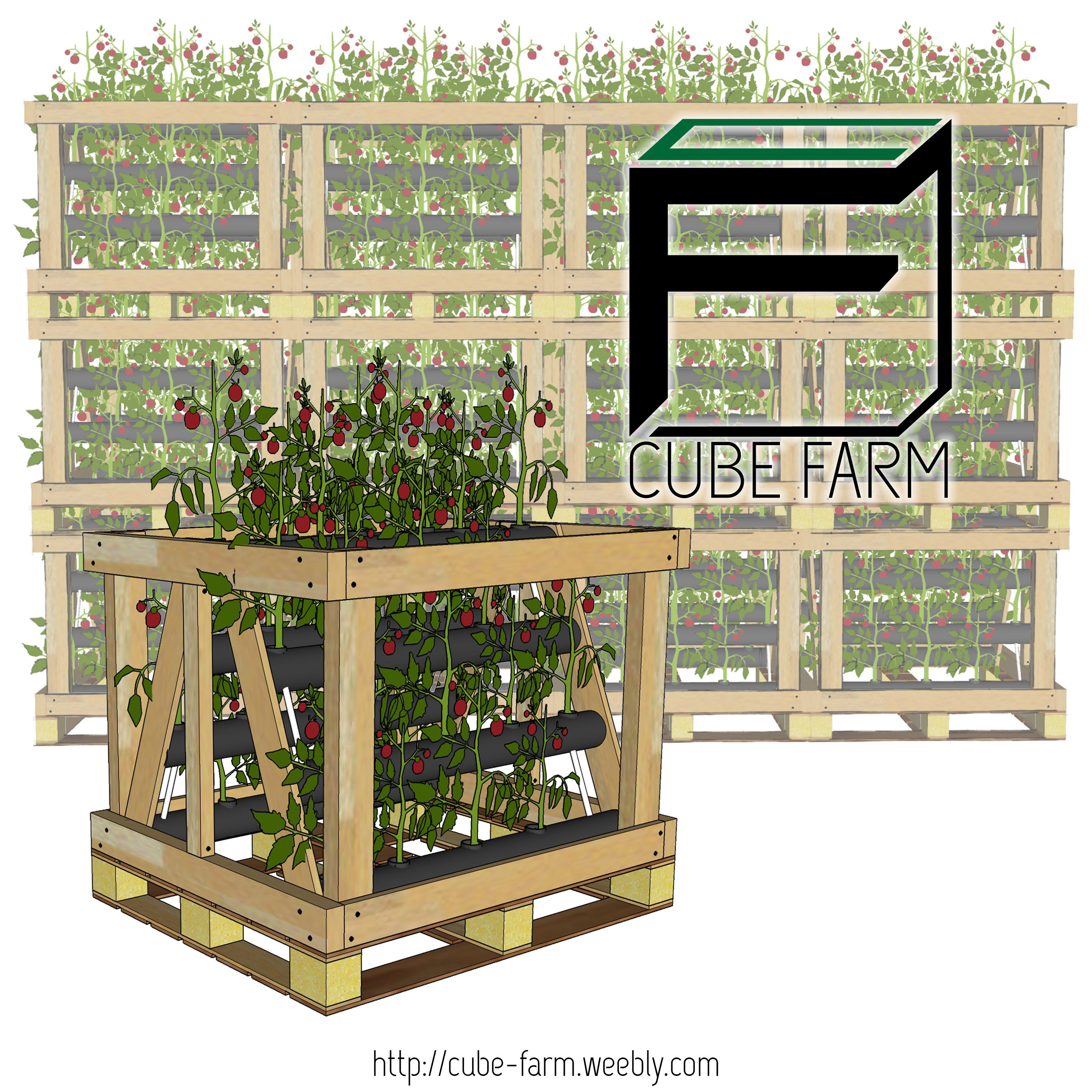 CubeFarm_cover-image-Square.jpg