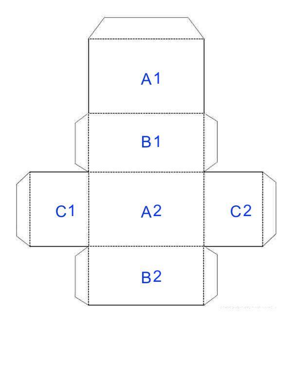 Cuboid template.jpeg