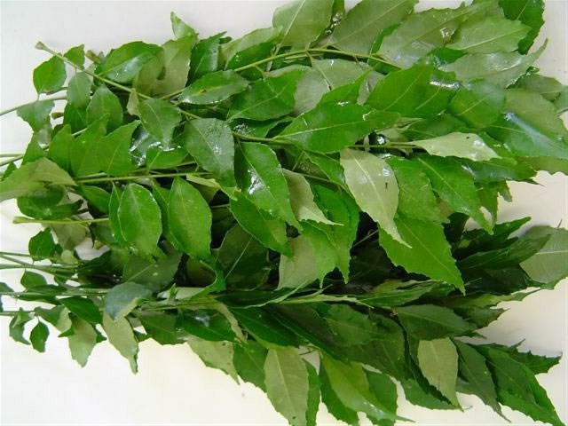 Curry_Leaves.jpg