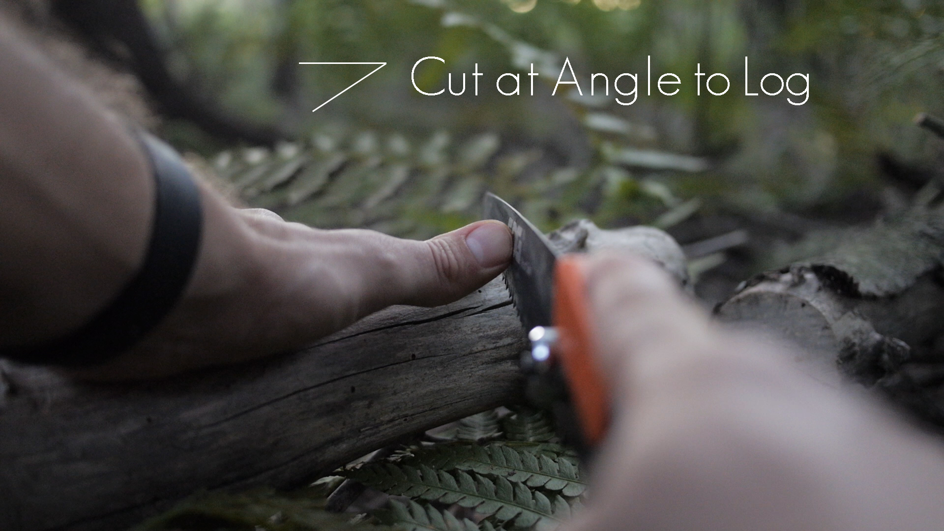 Cut at Angle.jpg