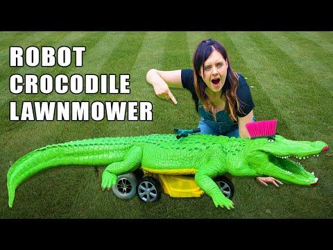 Cutting the Lawn with a Robot Crocodile!