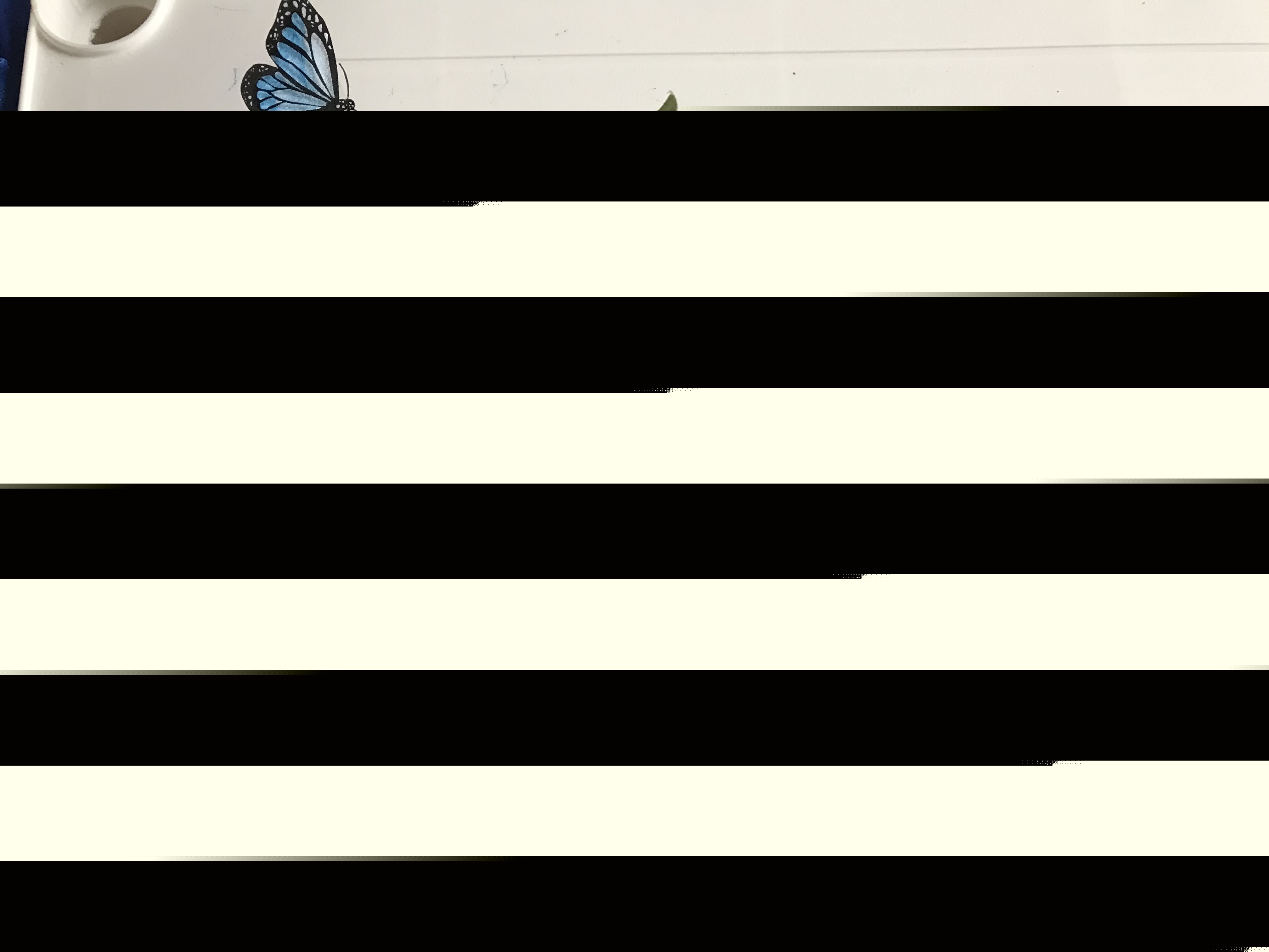 D96691E5-7D23-4F01-8D16-2E22596D05D5.jpeg