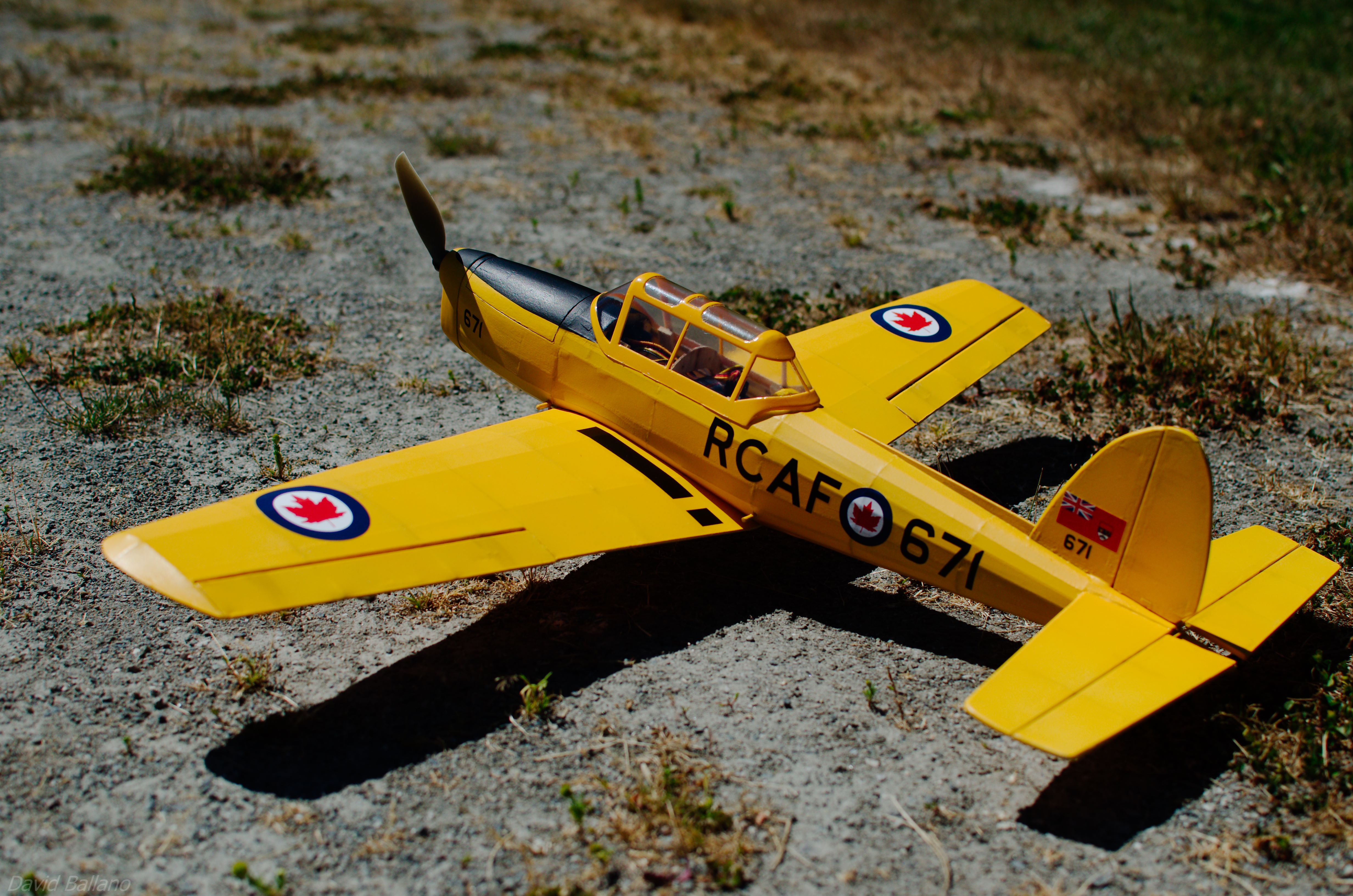 DAV_6487.jpg