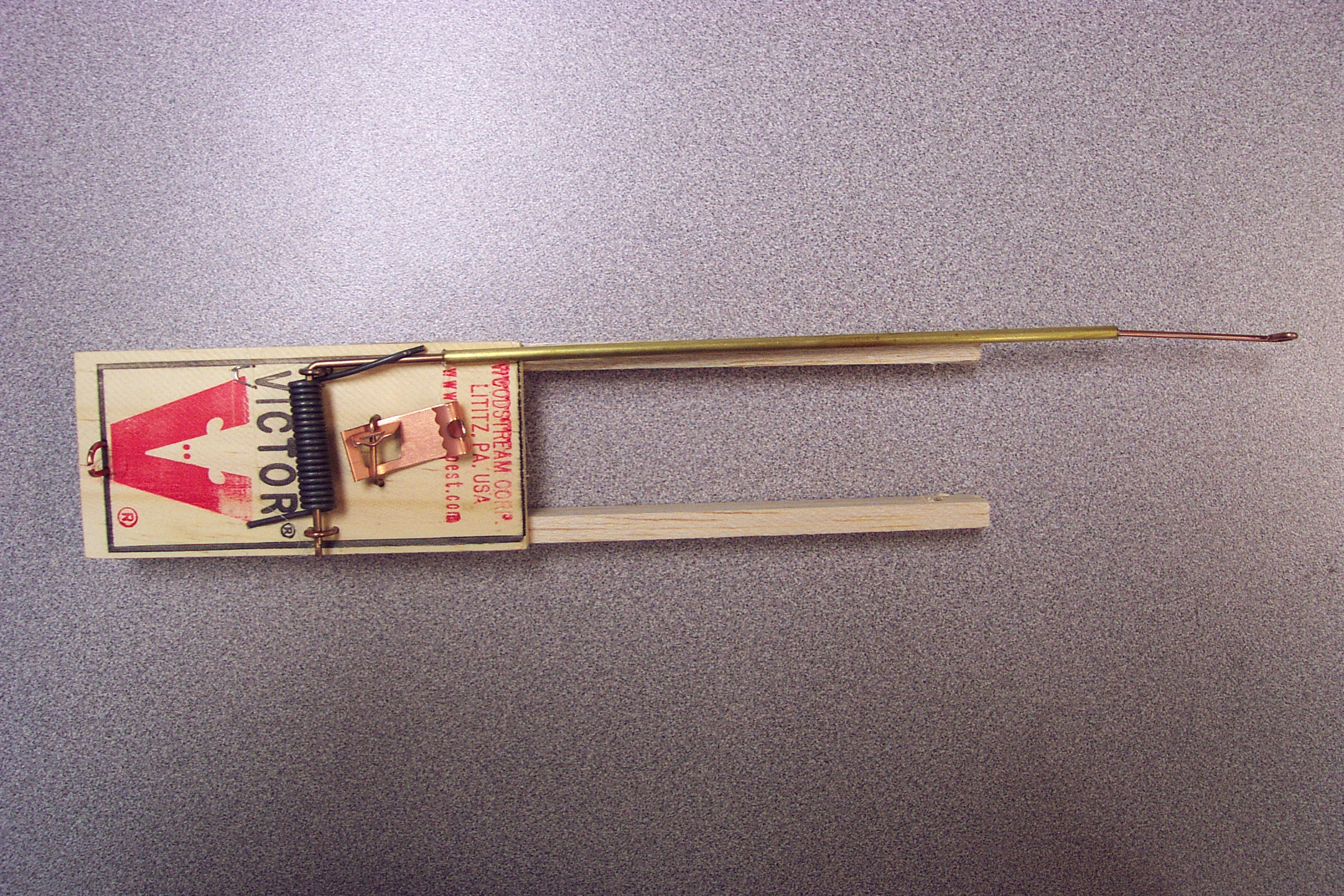 DCP_0016.JPG