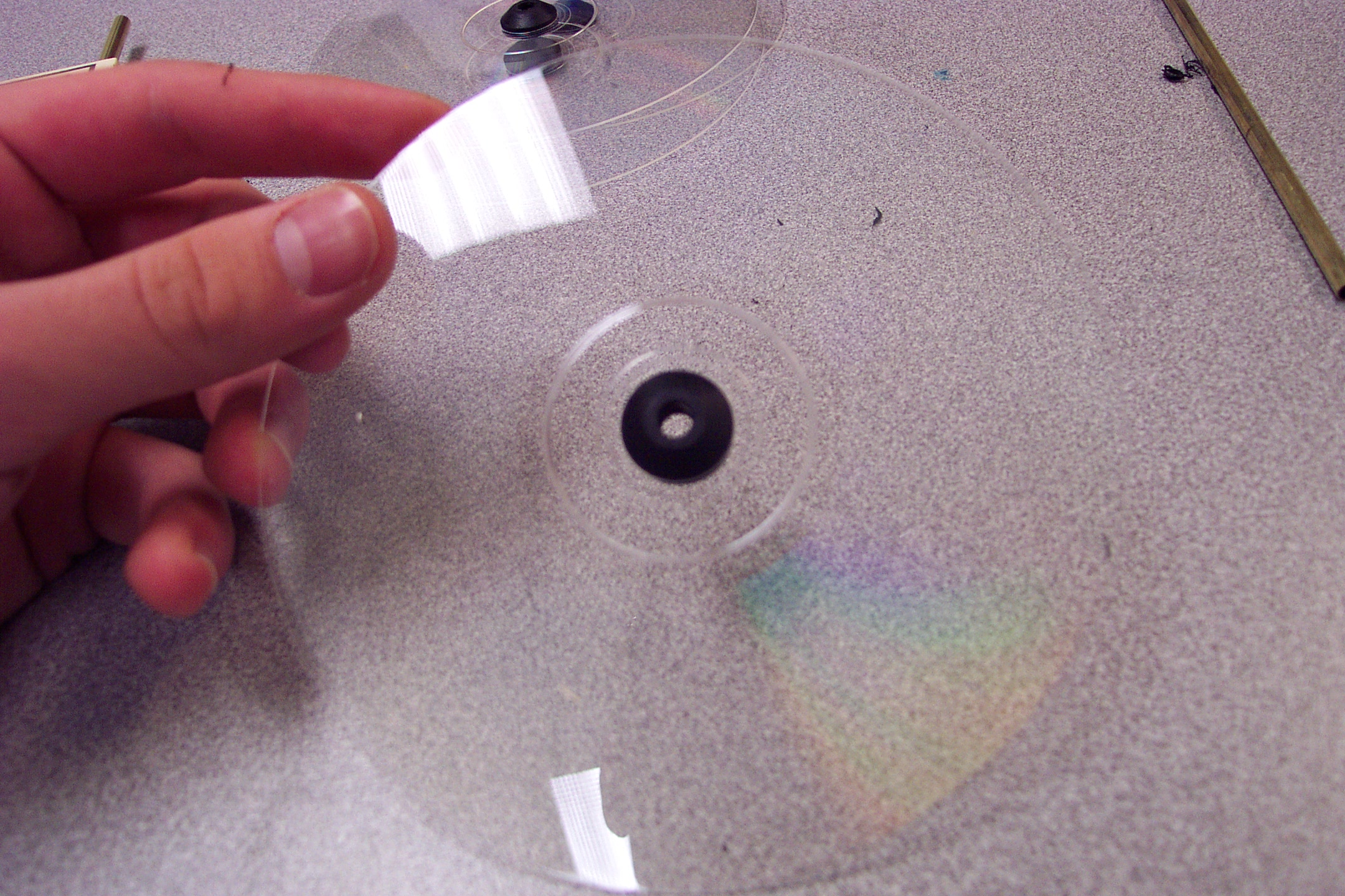 DCP_0020.JPG