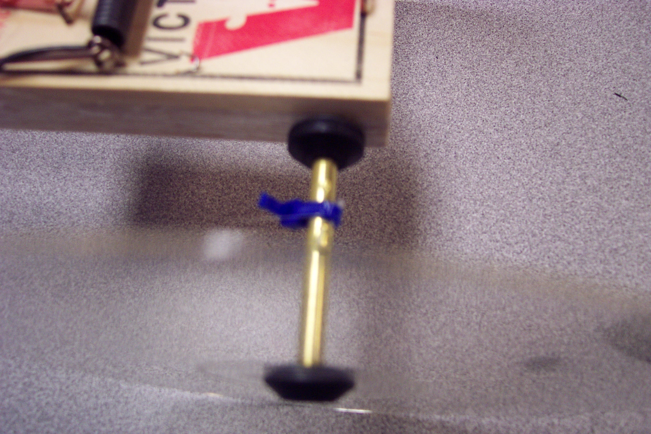 DCP_0023.JPG