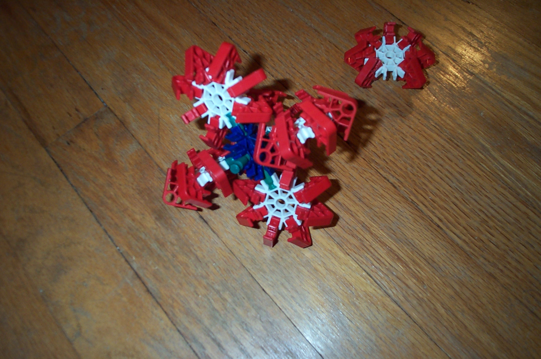 DCP_4489.JPG