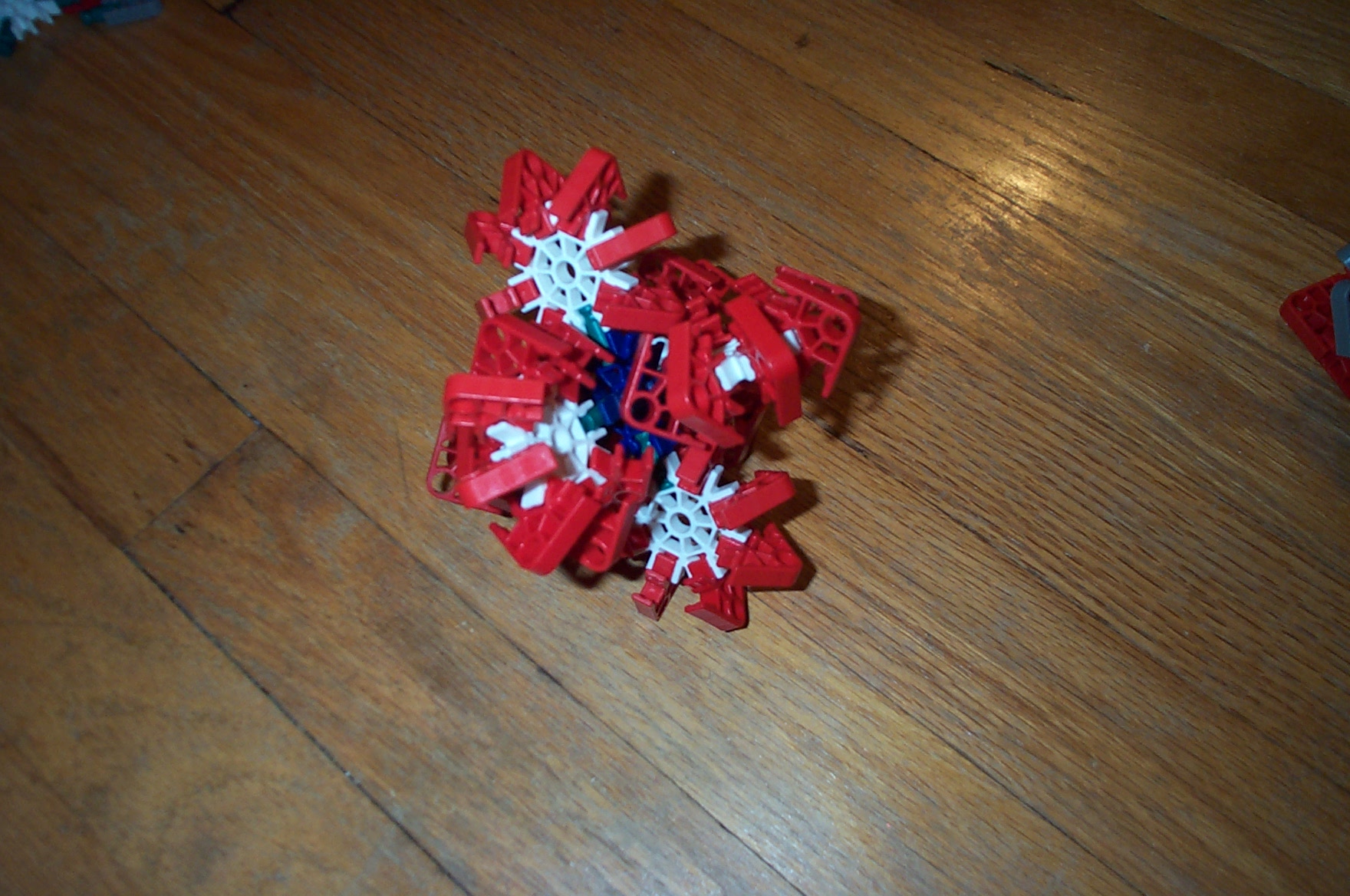 DCP_4490.JPG