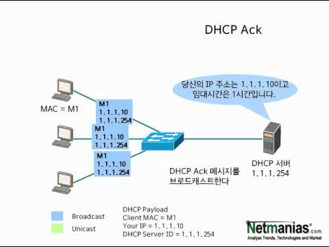 DHCP Basic Operation