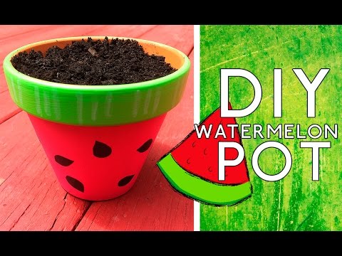 DIY: Watermelon Pot