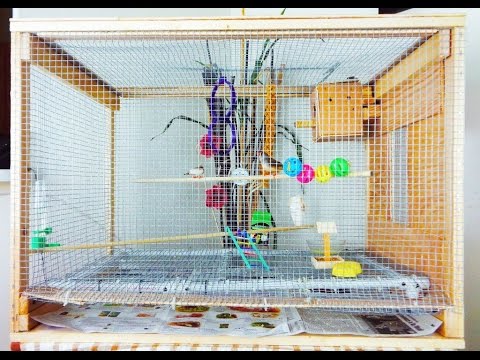 DIY  Bird Cage Small Aviary For My Zebra Finch  Homemade Bird Cage