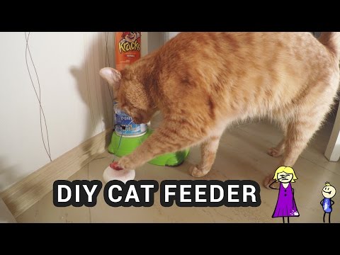 DIY ARDUINO CAT FEEDER &amp;ndash; cat pushes the button to get food