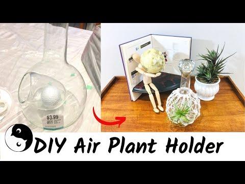 DIY Air Plant Holder | Birdz of a Feather