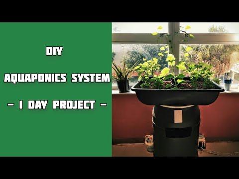 DIY Aquaponics System - Build in One Day