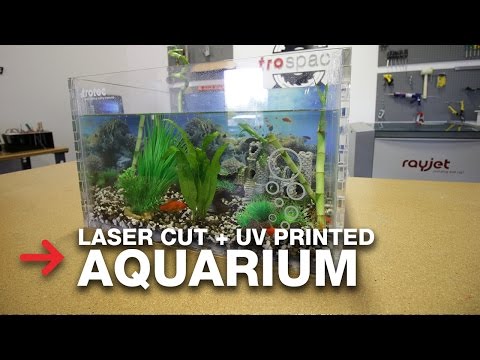 DIY Aquarium | Make Your Own Custom Aquarium | Trotec