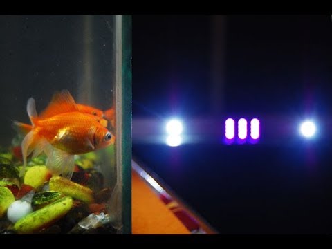 DIY Automated LED Lighting for Planted Aquarium