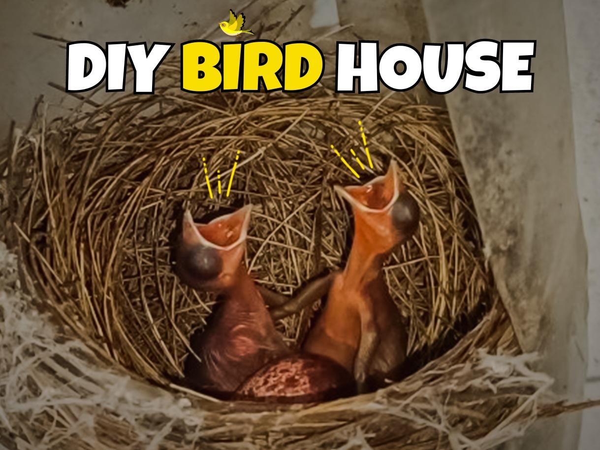 DIY BIRD HOUSE.jpg