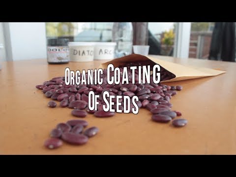 DIY Coating Seeds Tutorial - Powerful Seeds