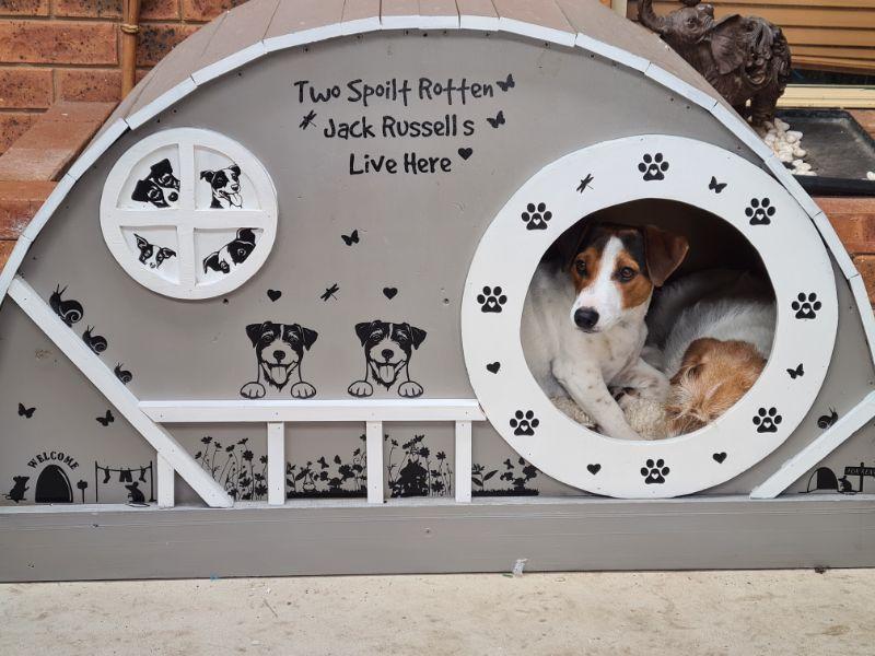 DIY Delux dog house (2).jpg