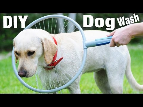 DIY Dog Wash Ring for Your Pet - Dog Grooming