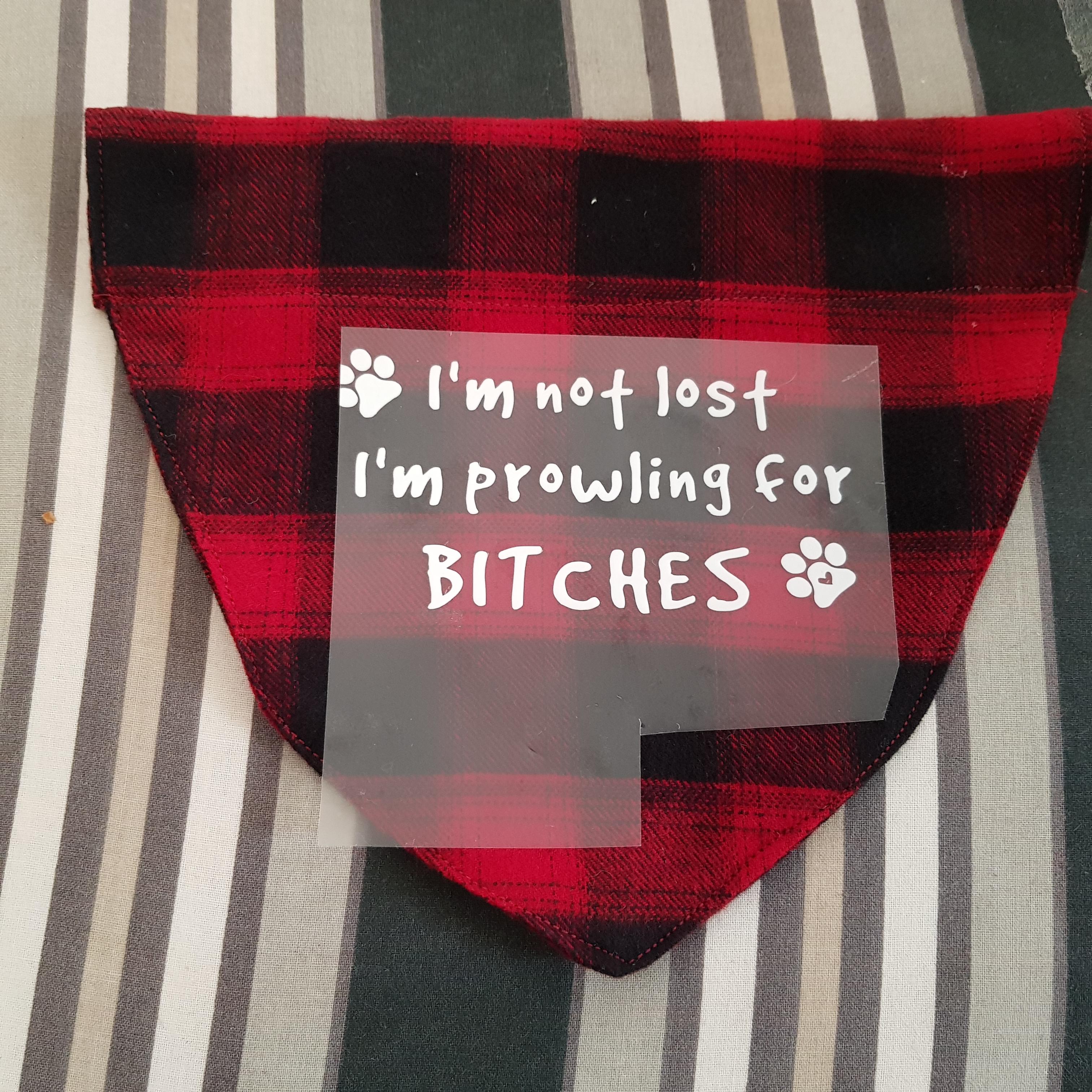 DIY Dog bandanas (1).jpg