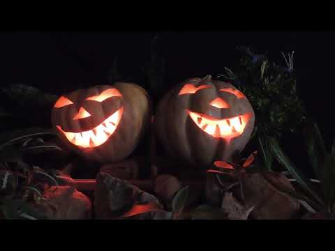 DIY Halloween Fountain